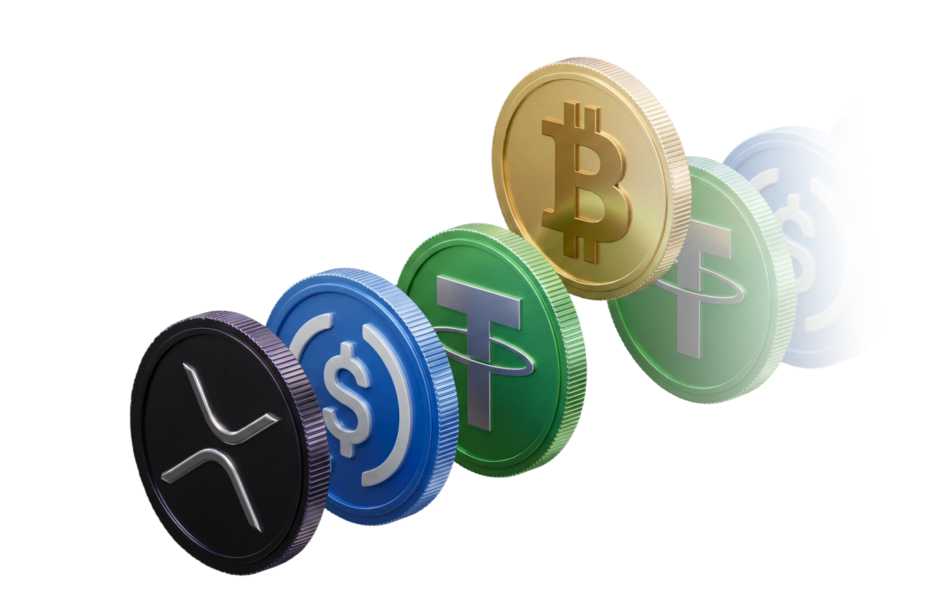 XBO.com - Image